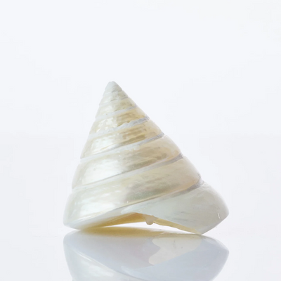 Pearl Trochus Shell - Set 3