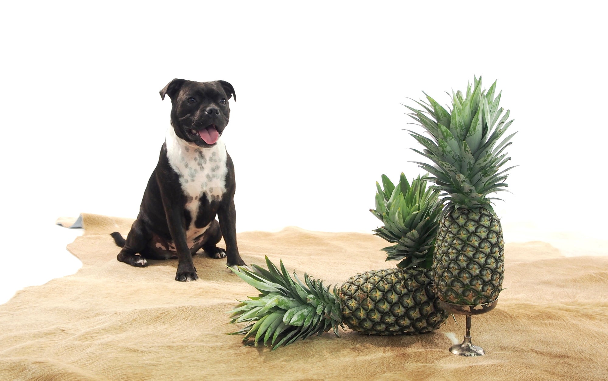 Premium Cowhide - Natural Tan