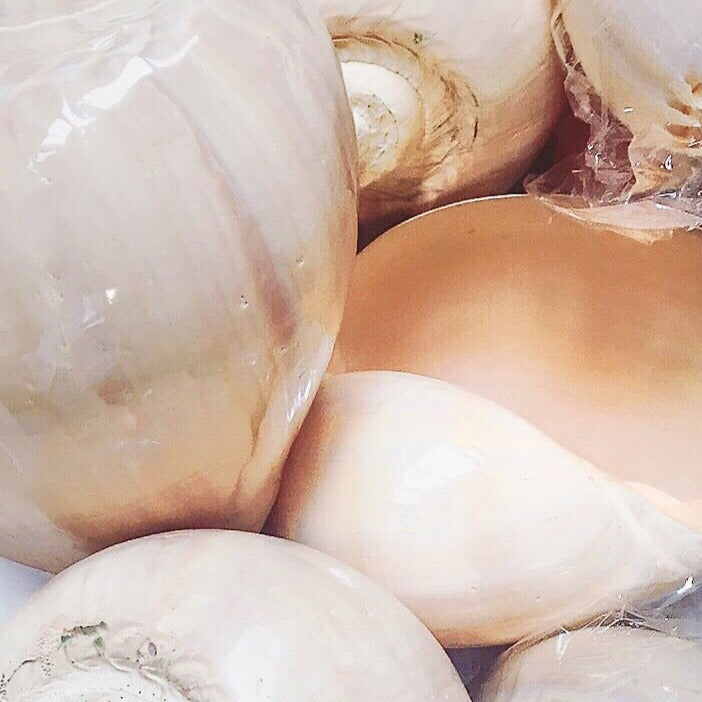 Real Large Polished Melon Shell