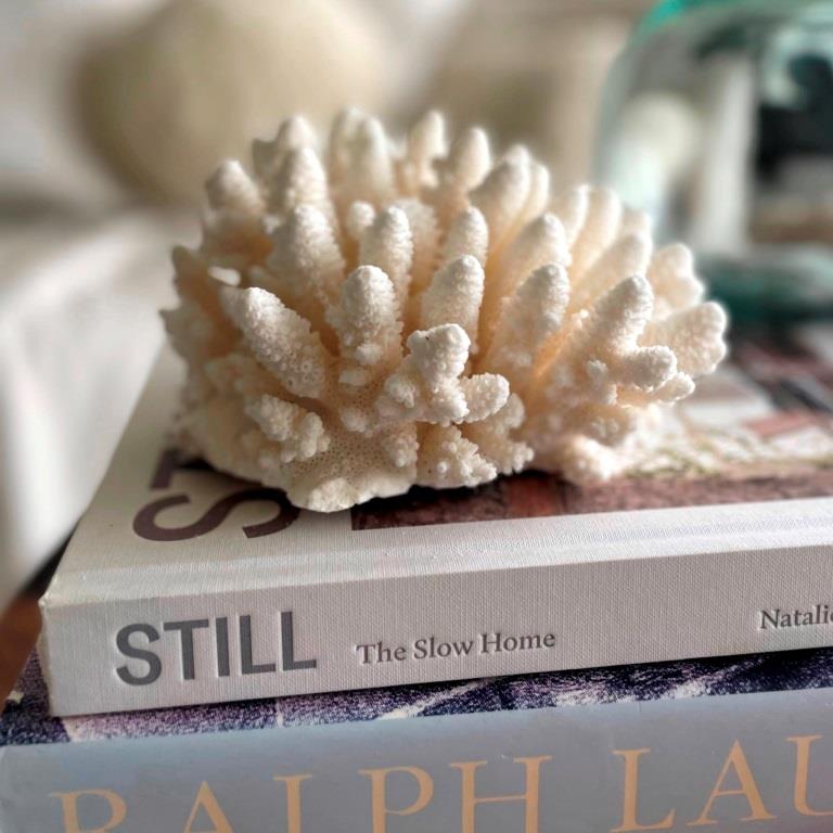 Real Finger Coral Specimen A