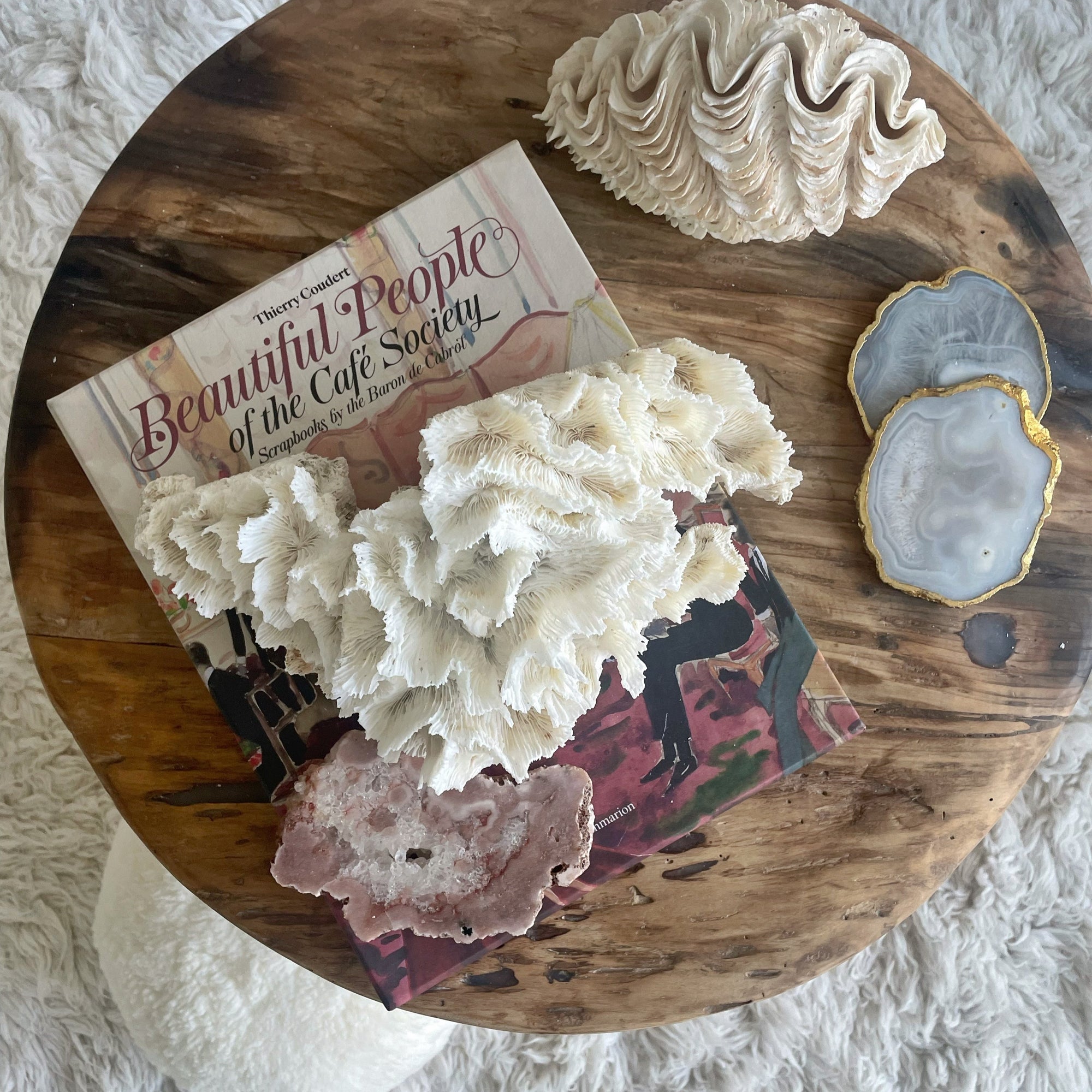 Hibiscus Coral Specimen C