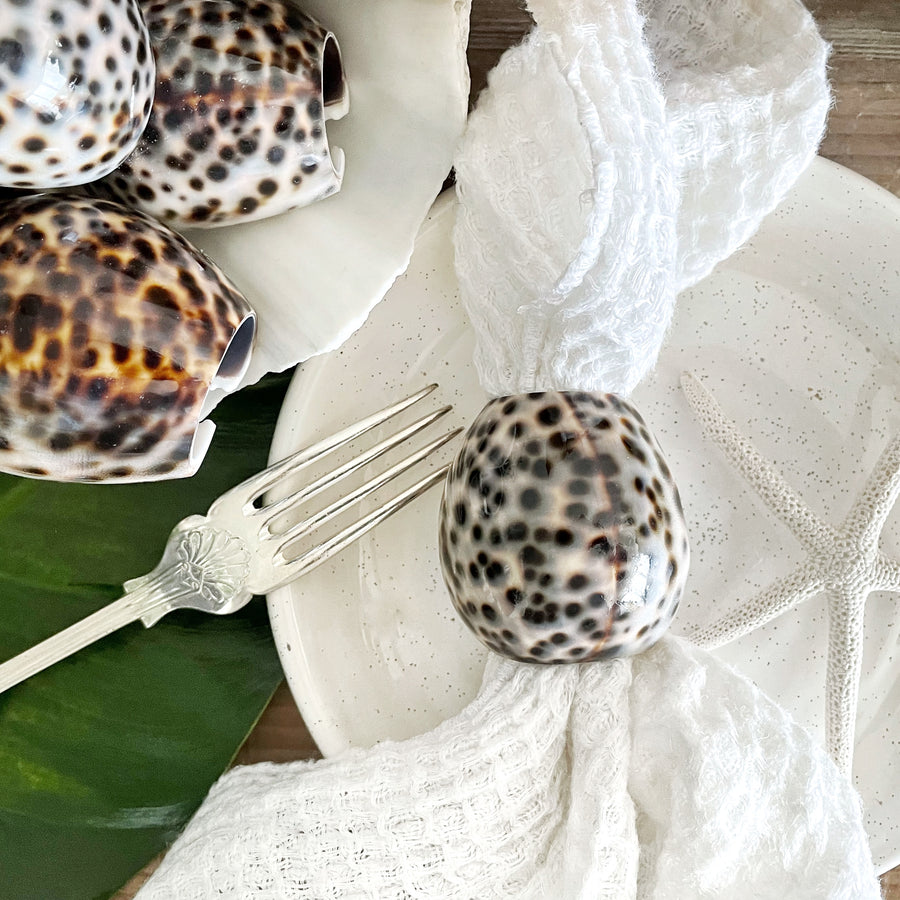 Real Tiger Cowrie Shell Napkin Ring Set 4