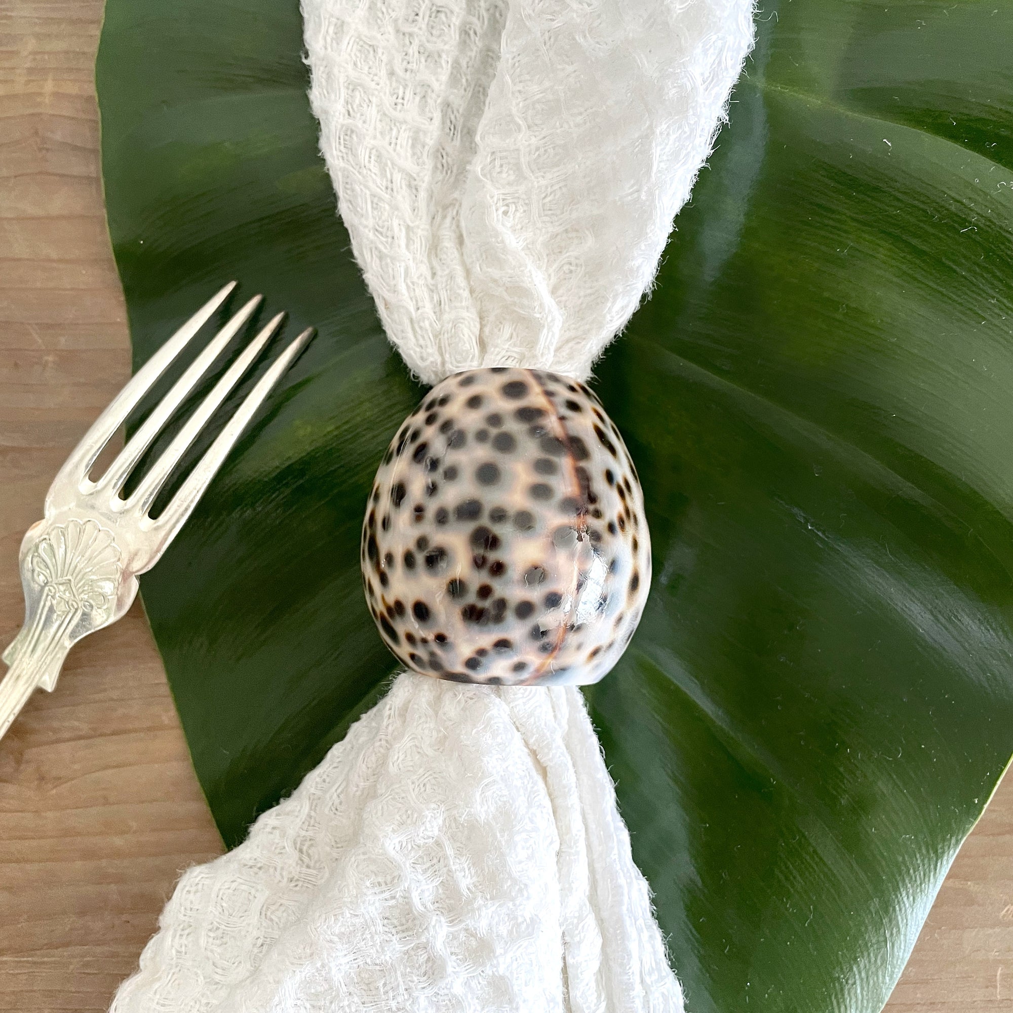 Real Tiger Cowrie Shell Napkin Ring Set 6