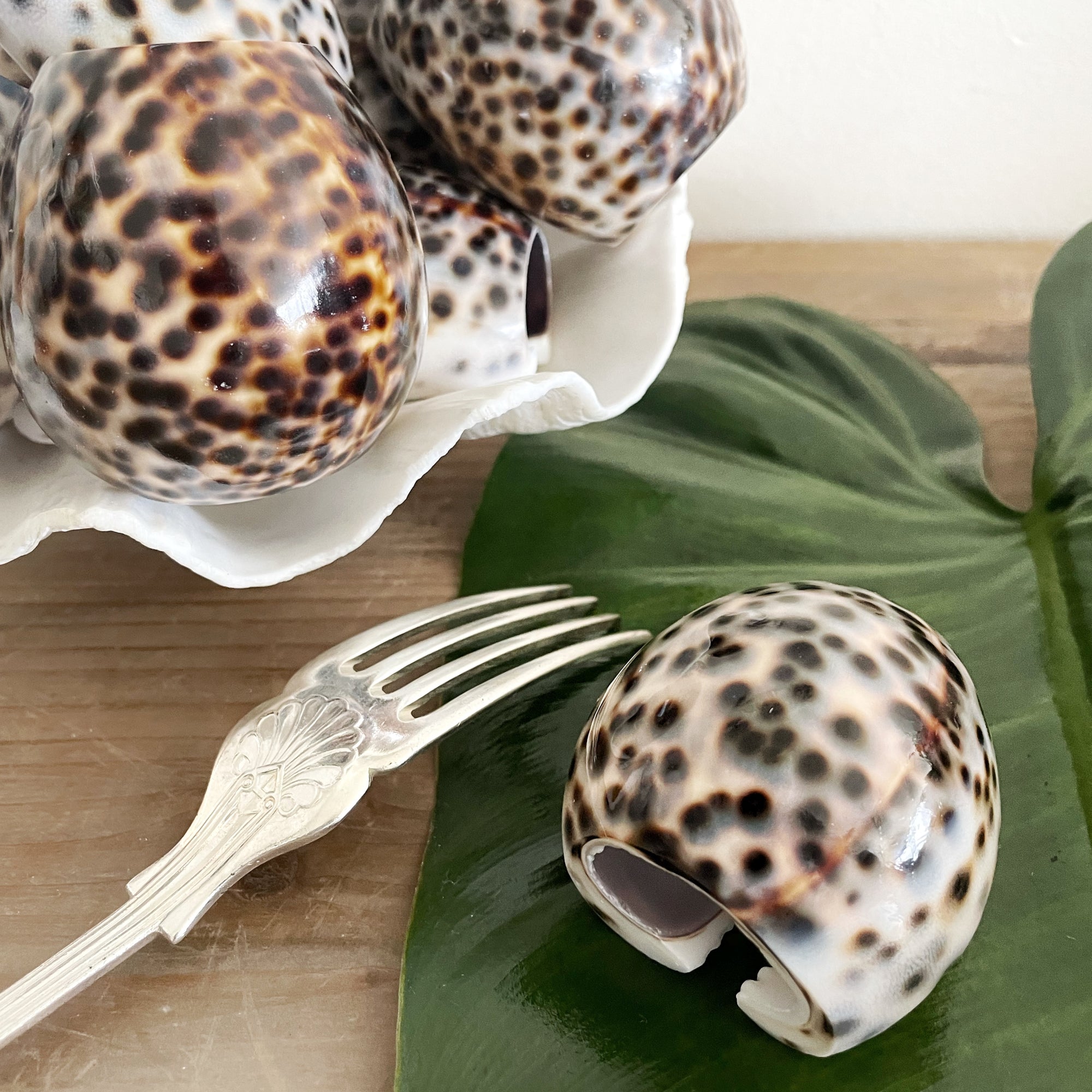 Cowrie shell on sale napkin rings