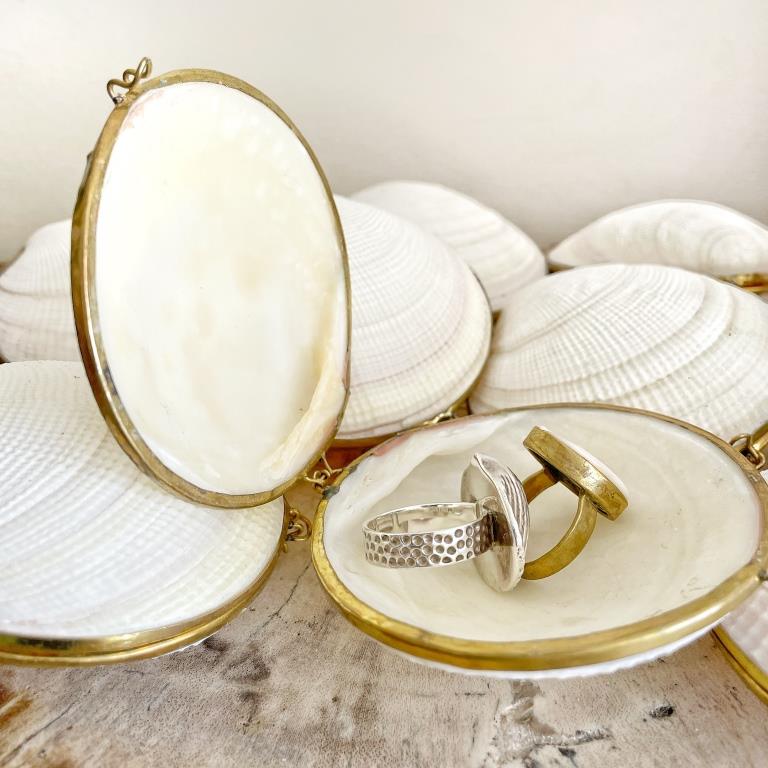 Seashell Gold tone Mini Purse – The Fashion Lounge