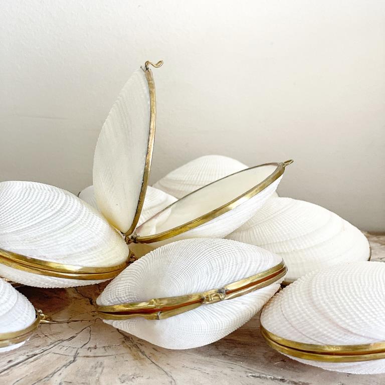 Real Shell Coin Purse with Metal Clip