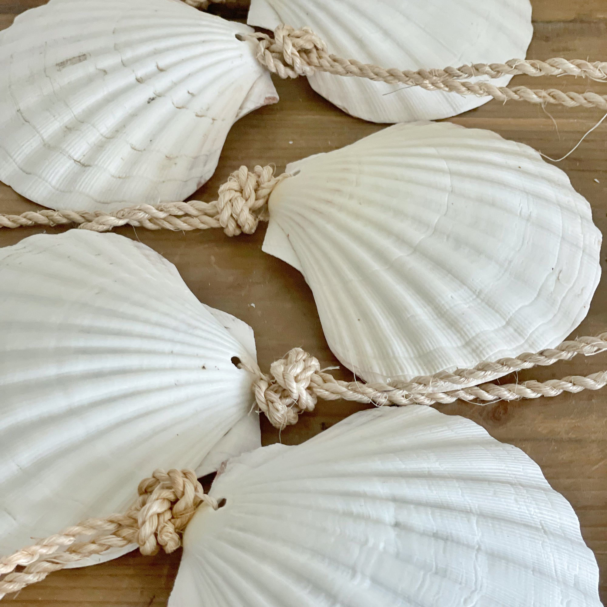 Large Hanging Scallop Real Shell Christmas Tree & Wall Decor