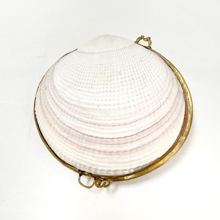 Real Shell Coin Purse with Metal Clip