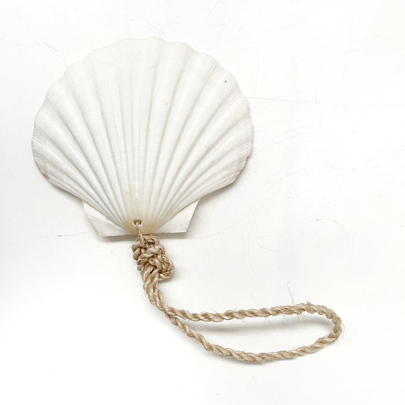 Large Hanging Scallop Real Shell Christmas Tree & Wall Decor