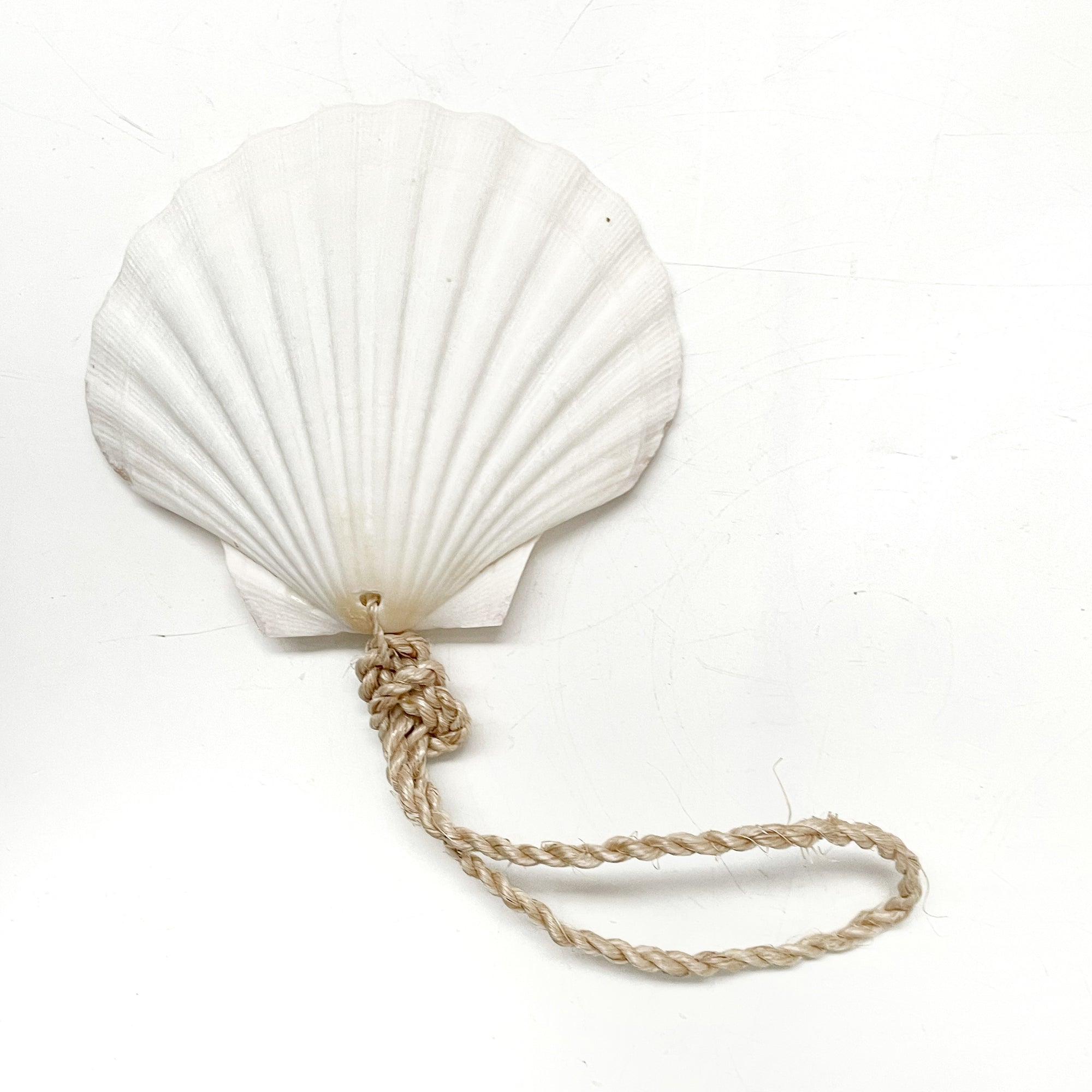 Large Hanging Scallop Real Shell Christmas Tree & Wall Decor