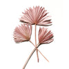 Dried Sun Palm - Pink Set 3