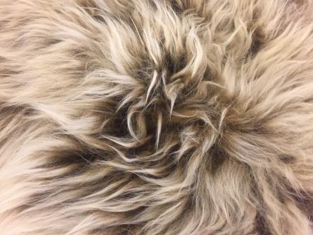 Genuine Australian Merino Sheepskin - Cappuccino