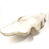 Resin Faux Giant Clamshell Clam 'Natural' 77 CM