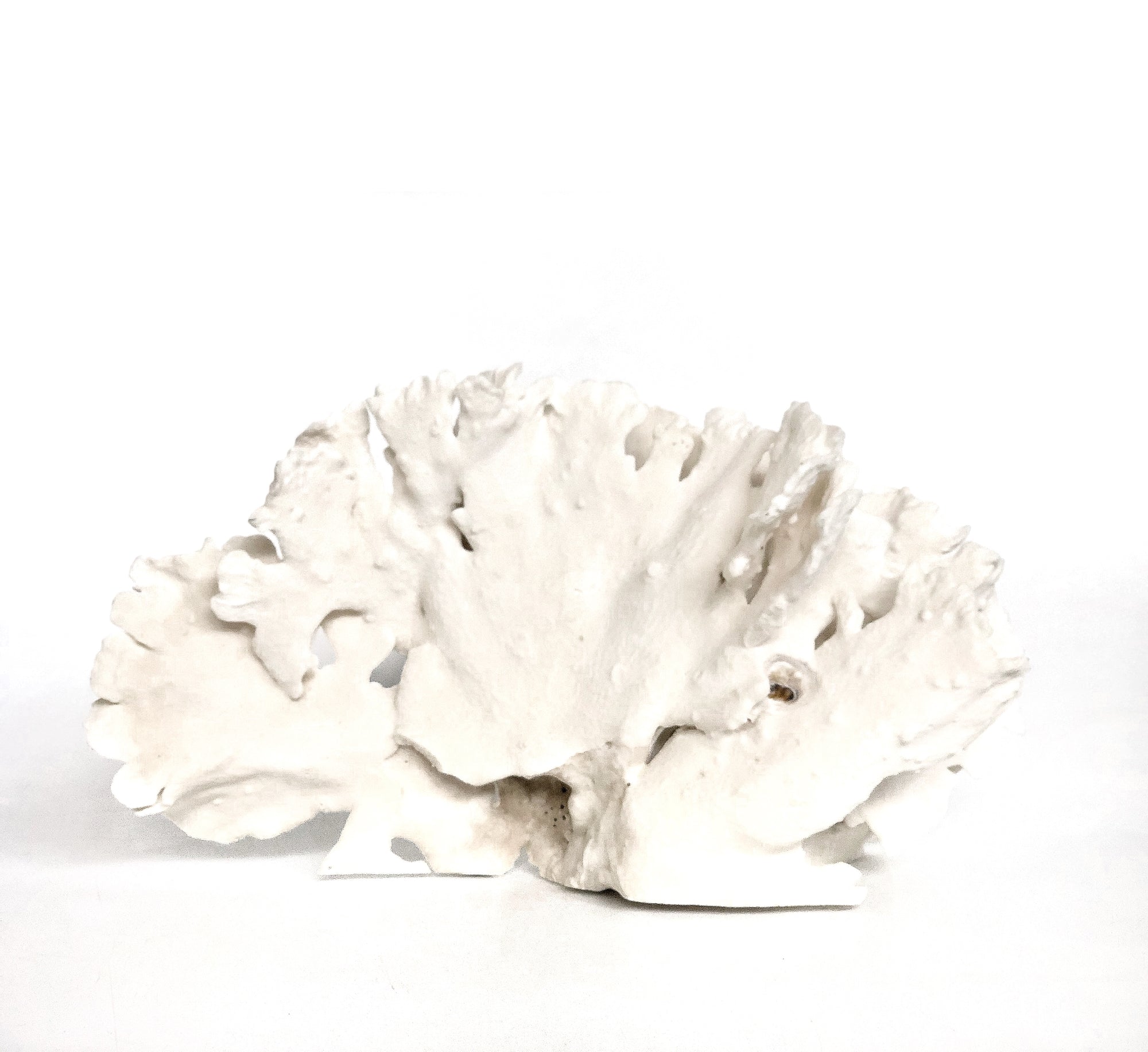 Real Wave Coral **HIRE ONLY***