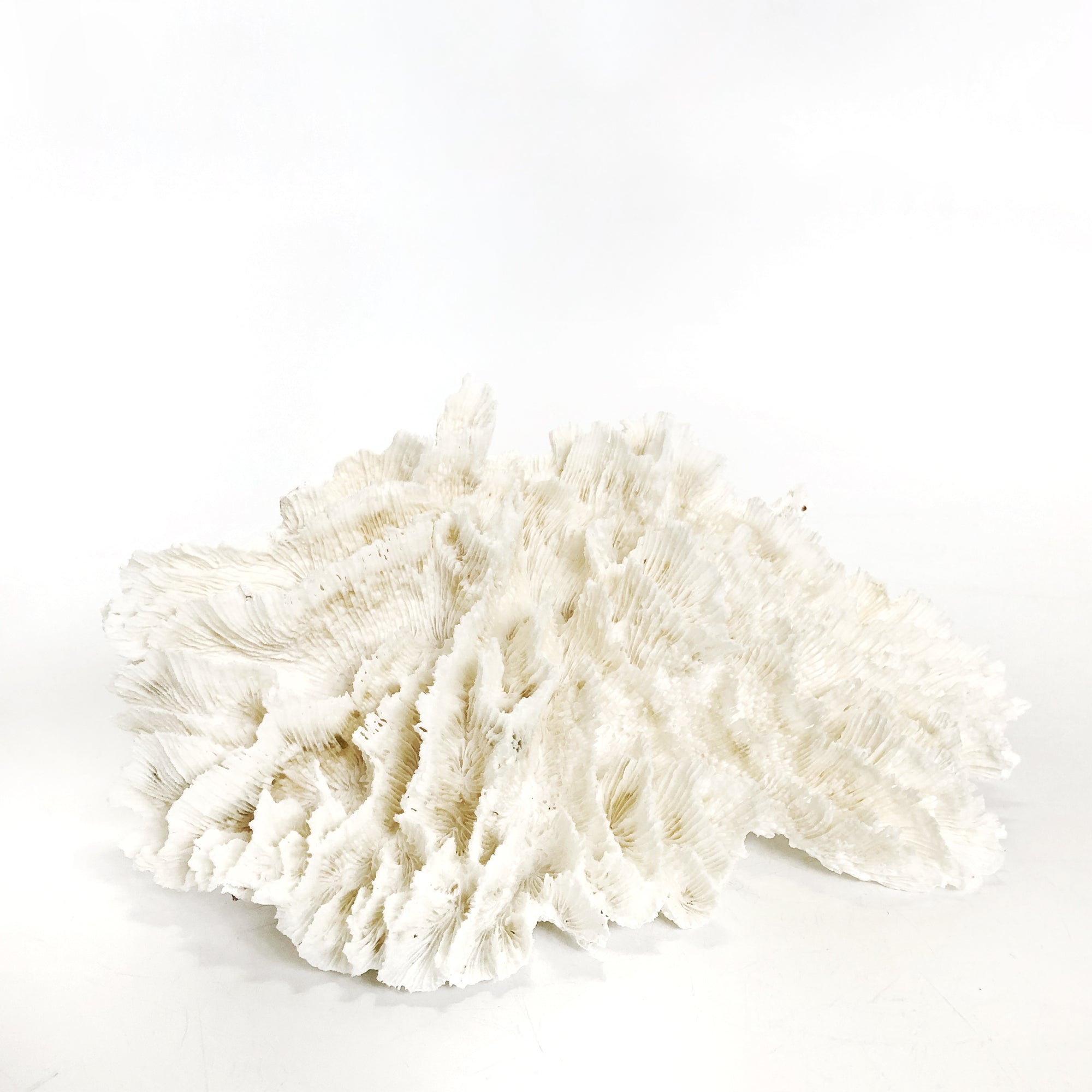 Real Hibiscus Coral **HIRE ONLY***