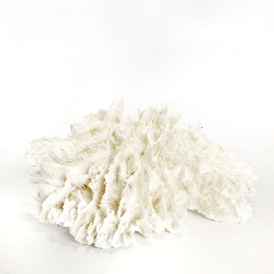 Real Hibiscus Coral **HIRE ONLY***