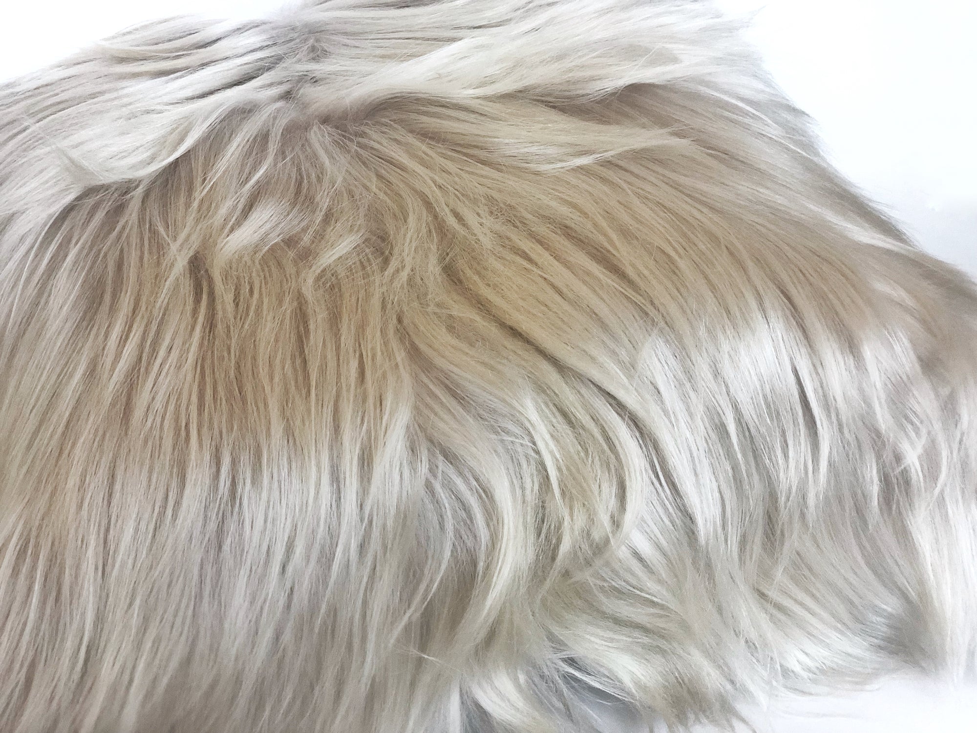 Himalayan Long Hair Goat Cushion Large - Fawn