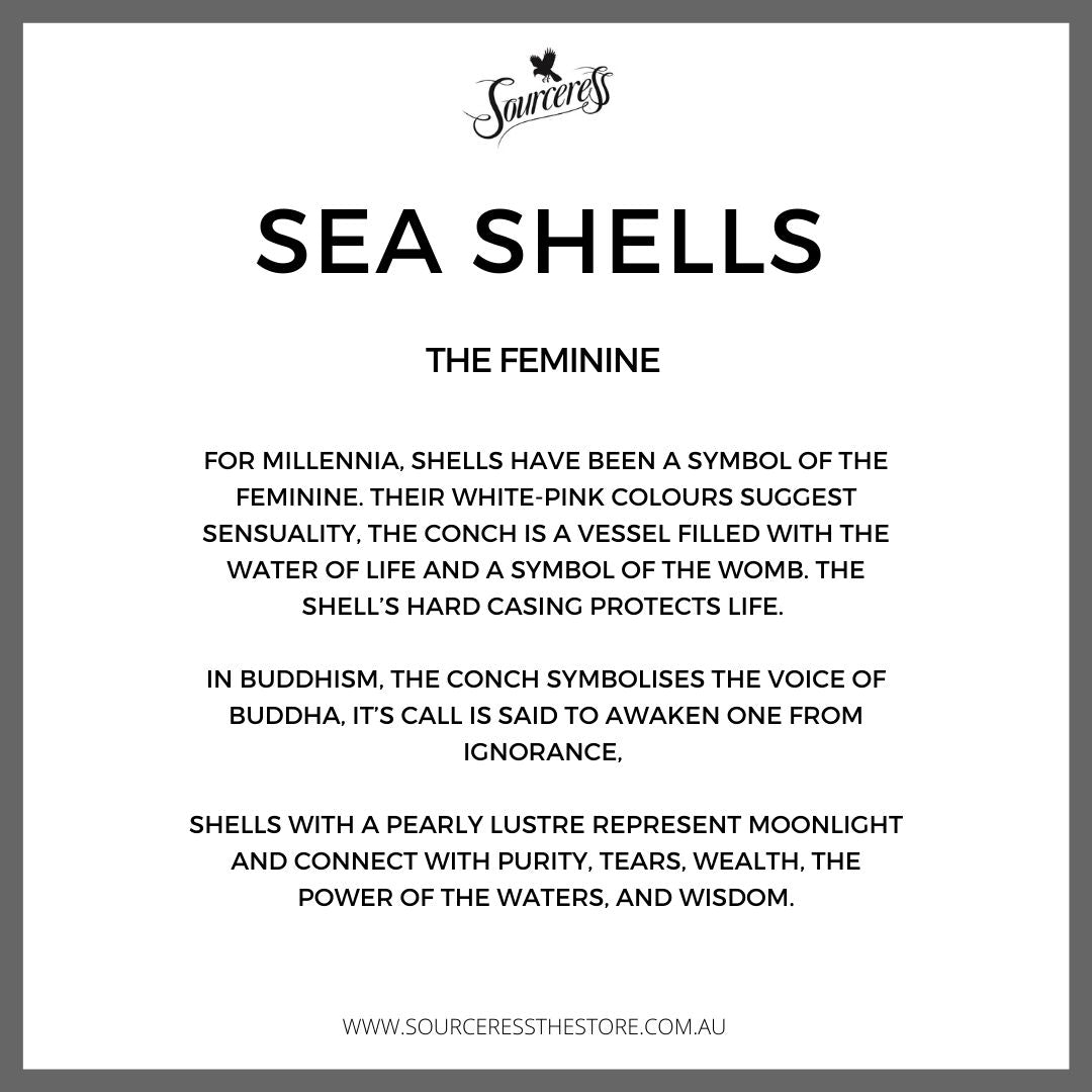 Mother of Pearl Caviar Spoons (Boxed Set 2)