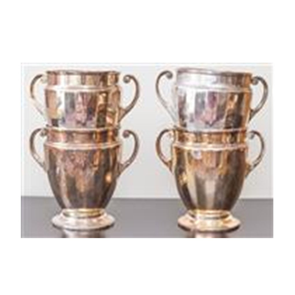 Urn Shaped Twin Handled Wine Coolers Vases 23 CM H ***HIRE ONLY***