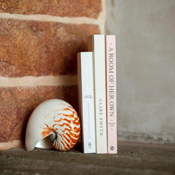 Real Rare Nautilus Stripe Shell