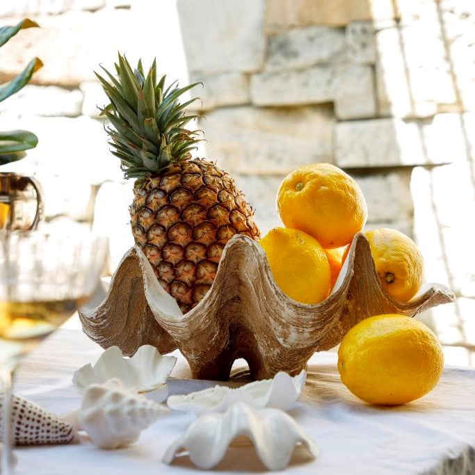 Resin Faux Giant Clamshell Clam 'Natural' 41 CM