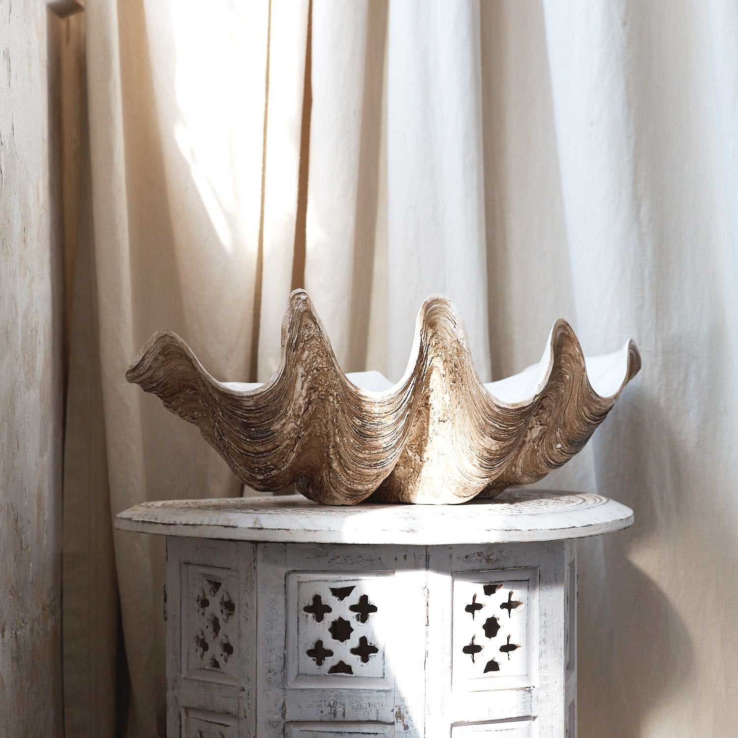 Faux Giant Clamshells Natural Vintage ***HIRE ONLY***