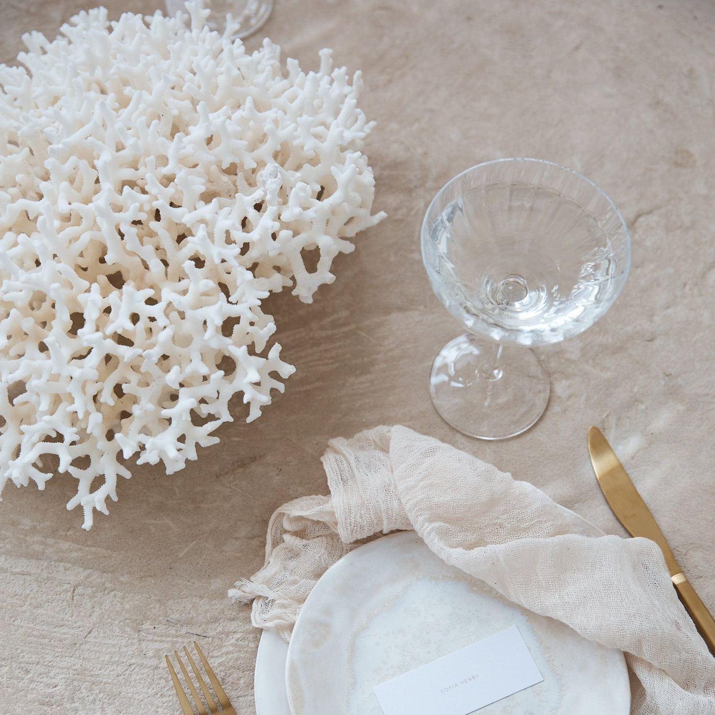 Real Birdsnest Coral **HIRE ONLY***