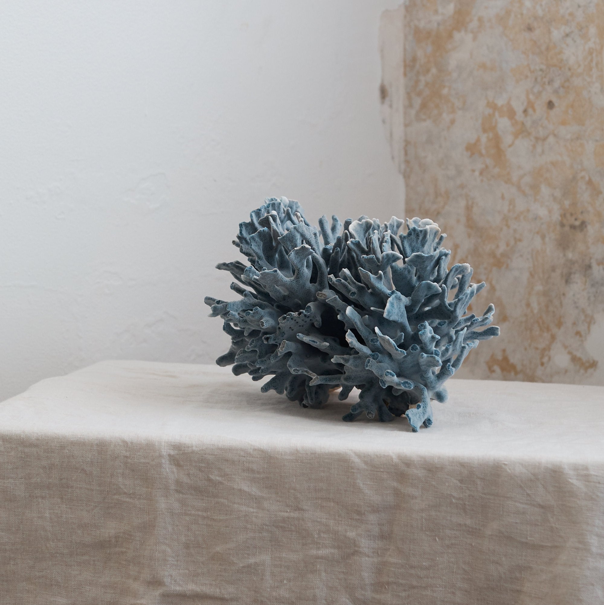 Real Blue Ridge Coral **HIRE ONLY***