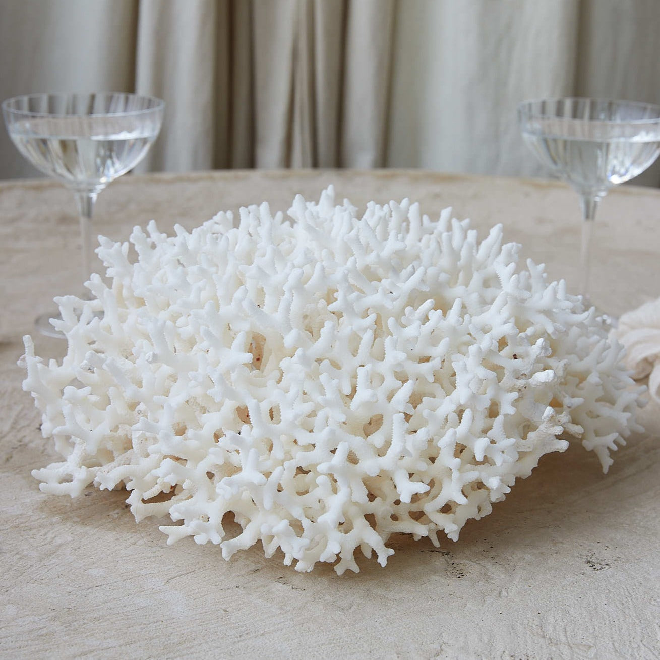 Real Birdsnest Coral **HIRE ONLY***