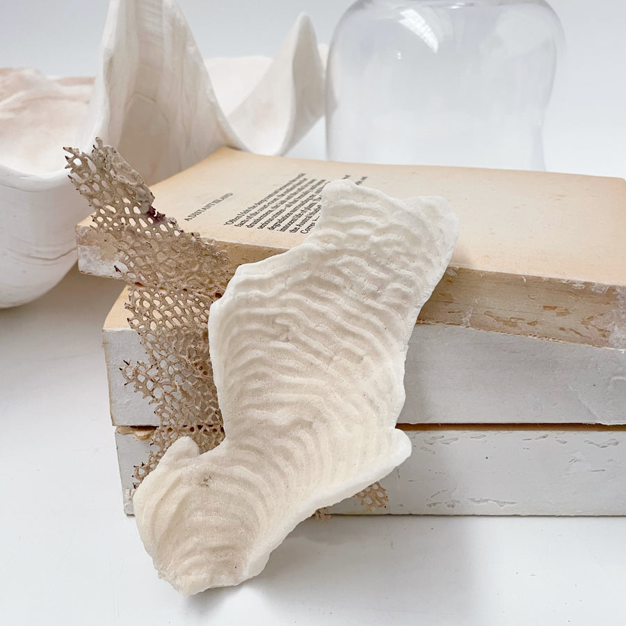 Turban Coral mini Scroll