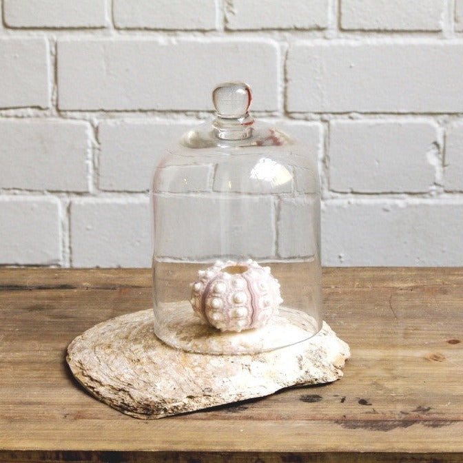 Sputnik Sea Urchin Set 5