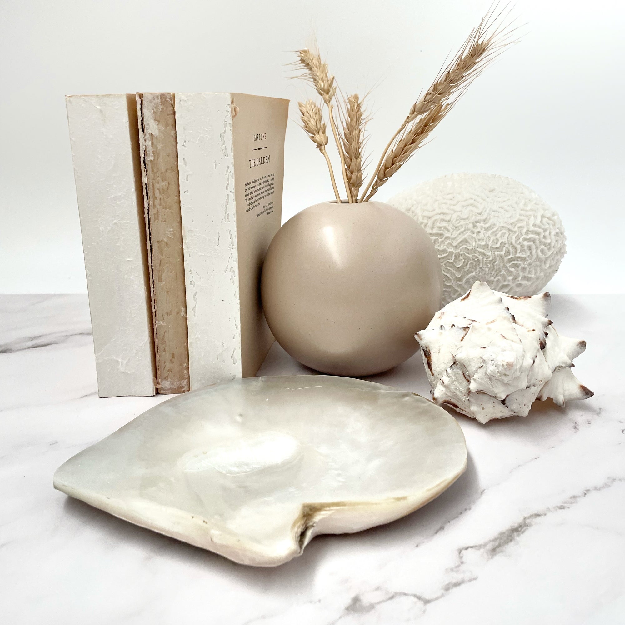 Extra Large Real Natural Pearl Shell Plate Caviar Server