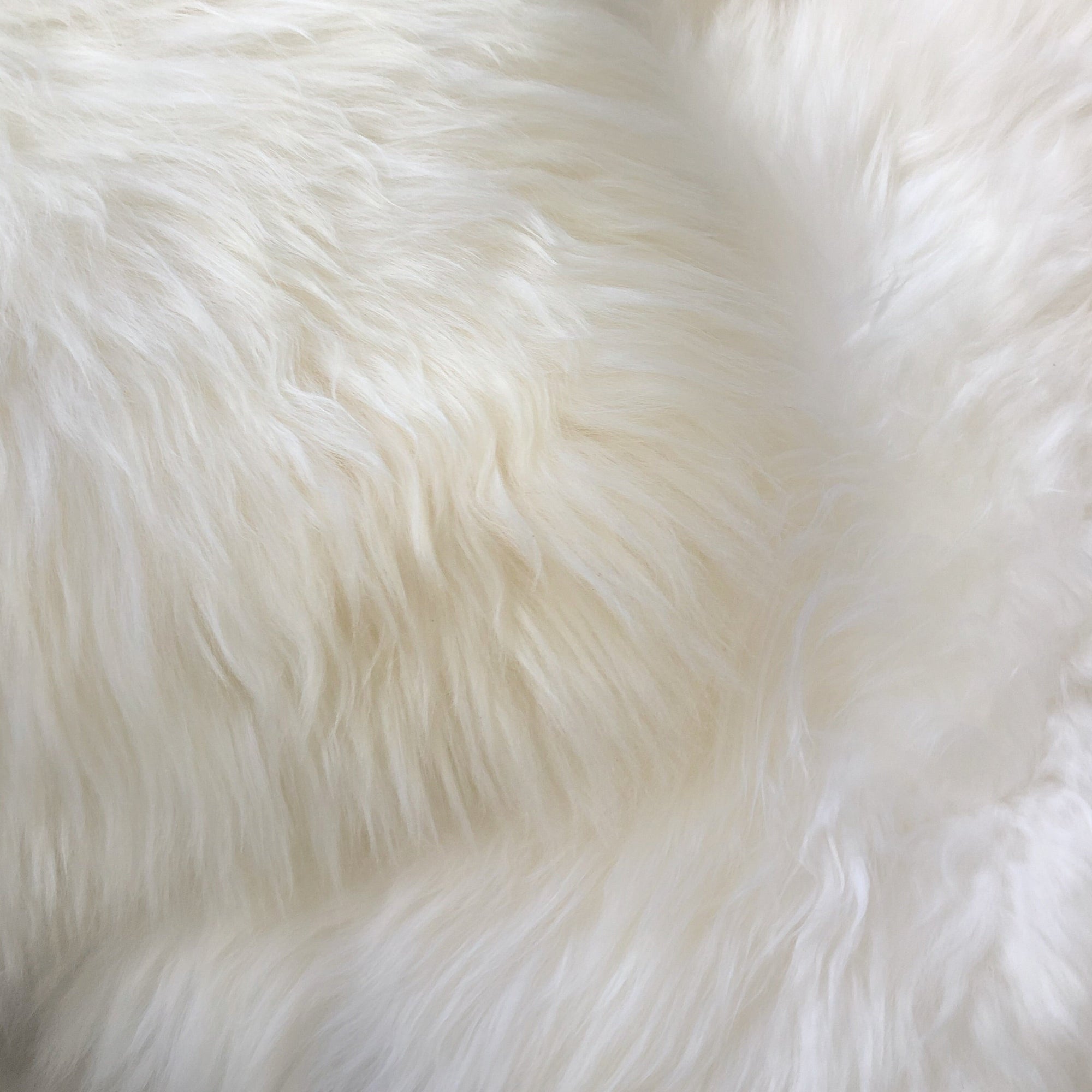 Genuine Australian Merino Sheepskin Seat Pad - Ivory 42 CM