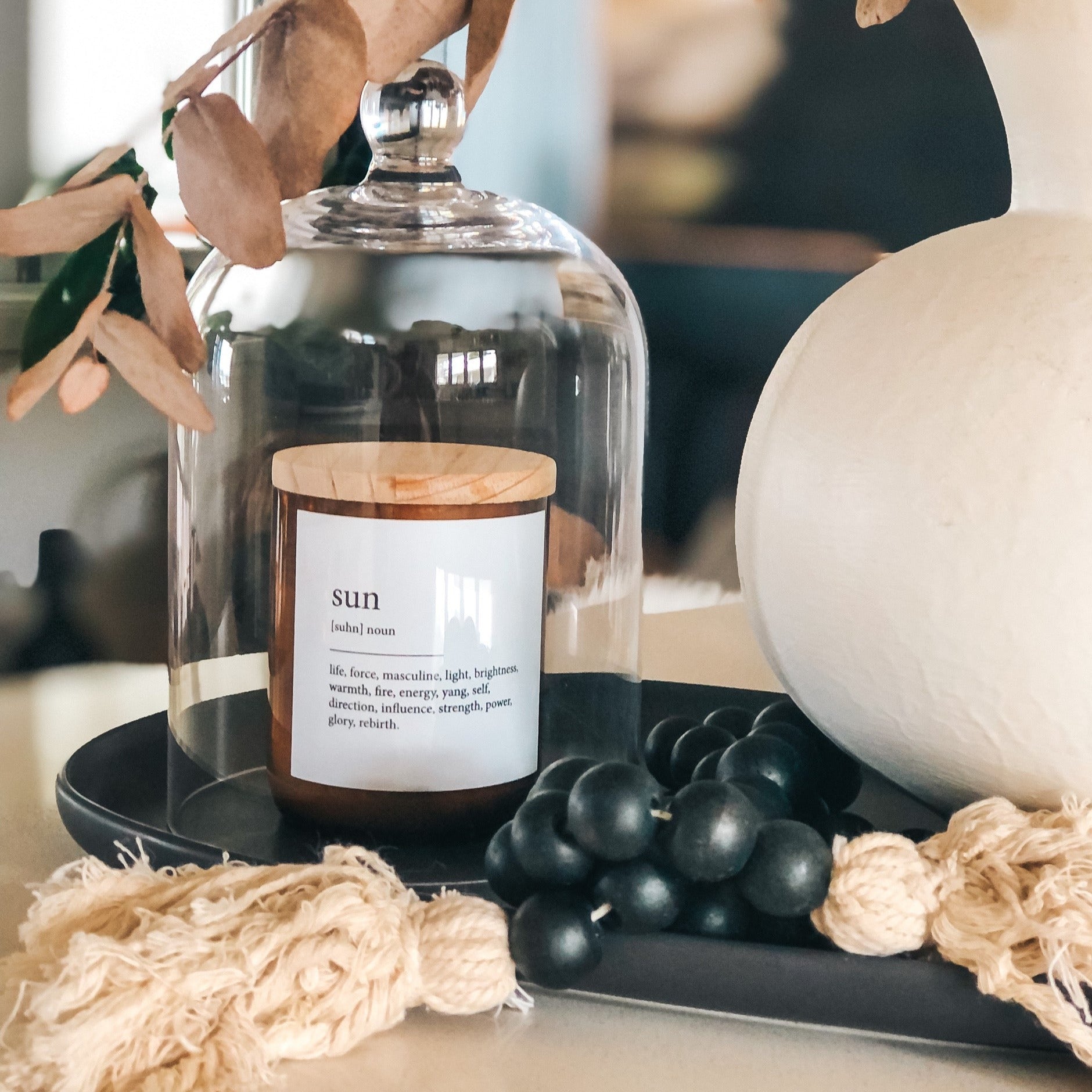 Small Glass Cloche Dome Terrarium