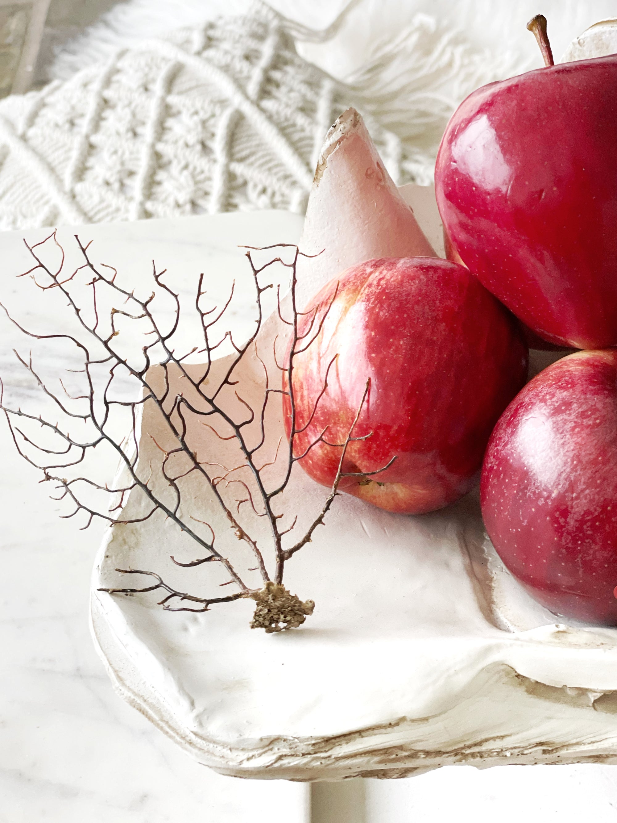 Resin Faux Giant Clamshell Clam 'Natural' 41 CM