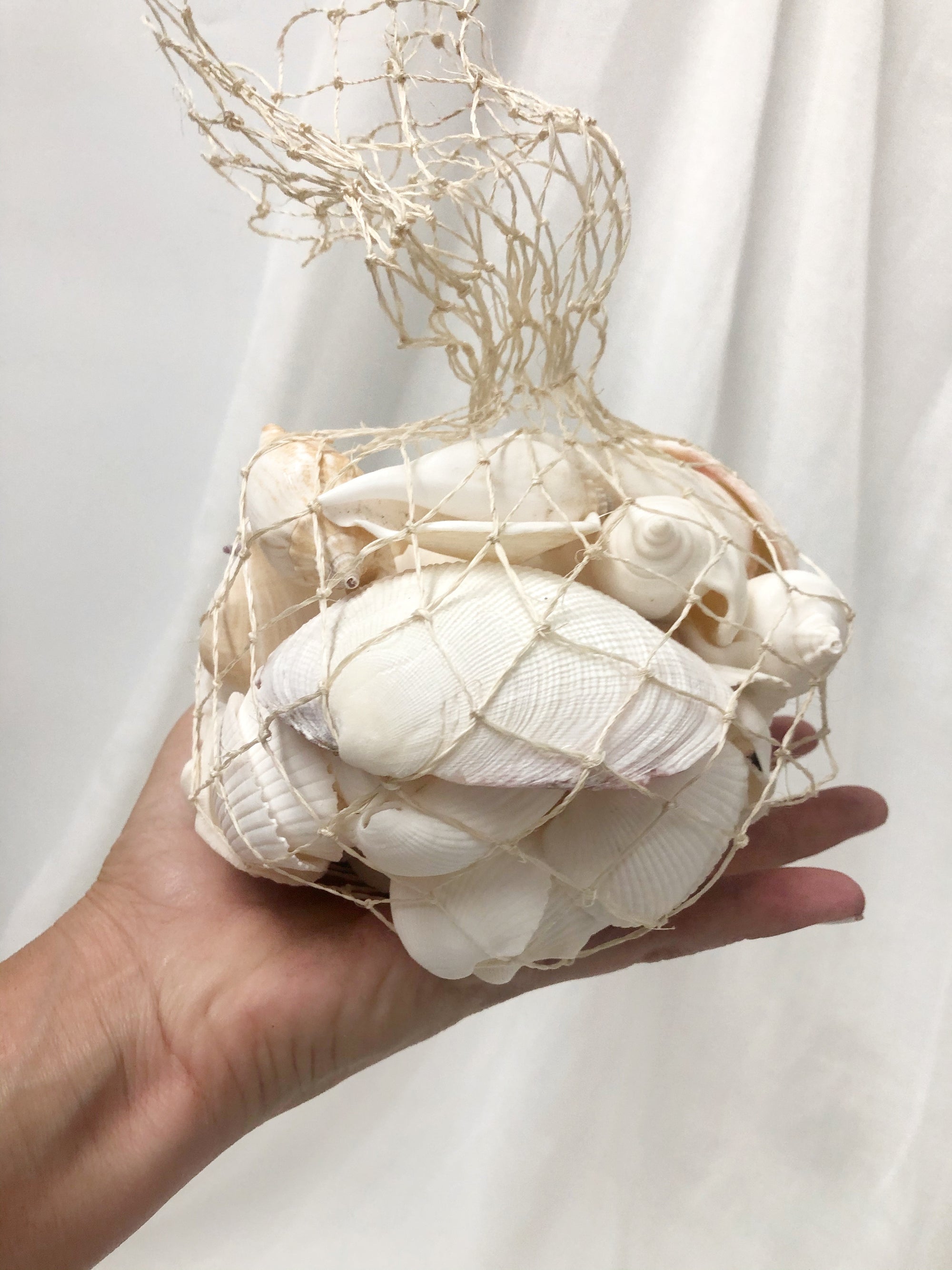 Mixed Bag Premium White Shells