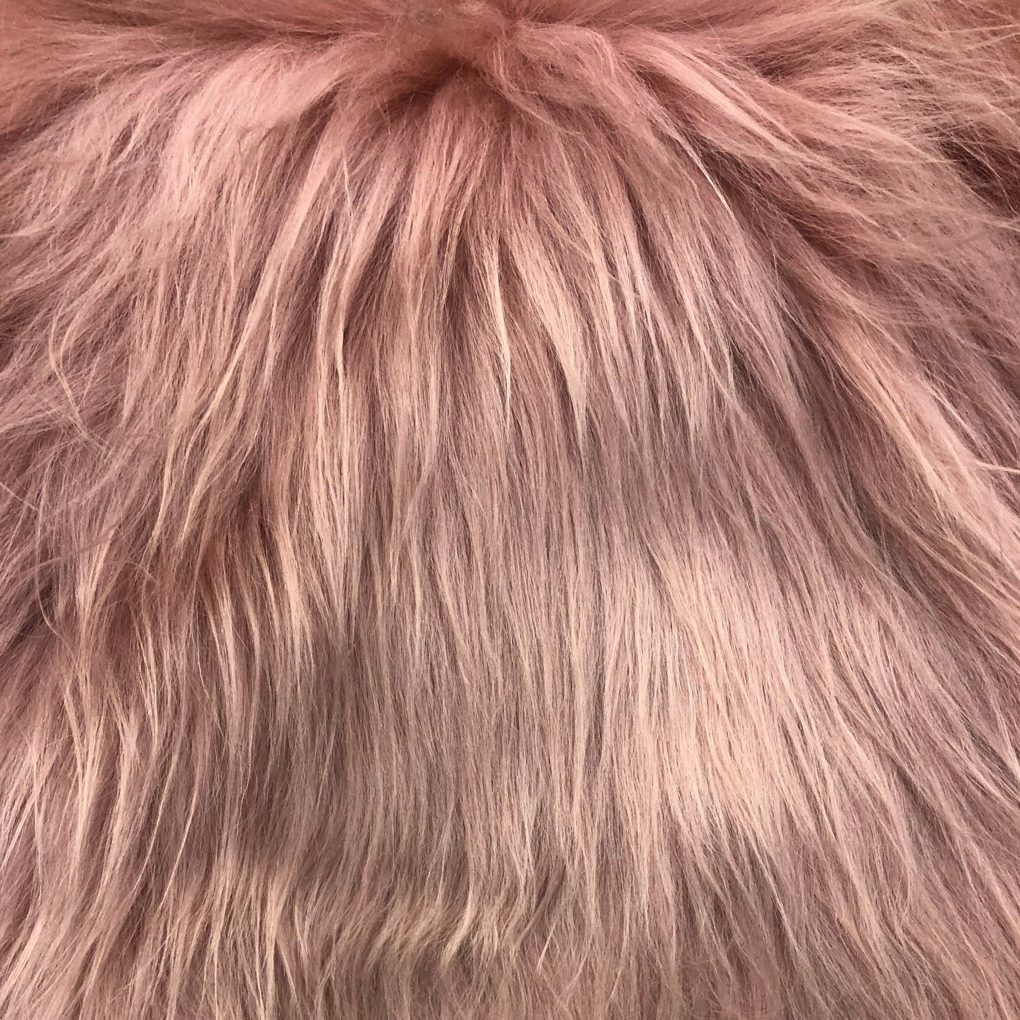 Icelandic Sheepskin - Warm Blush