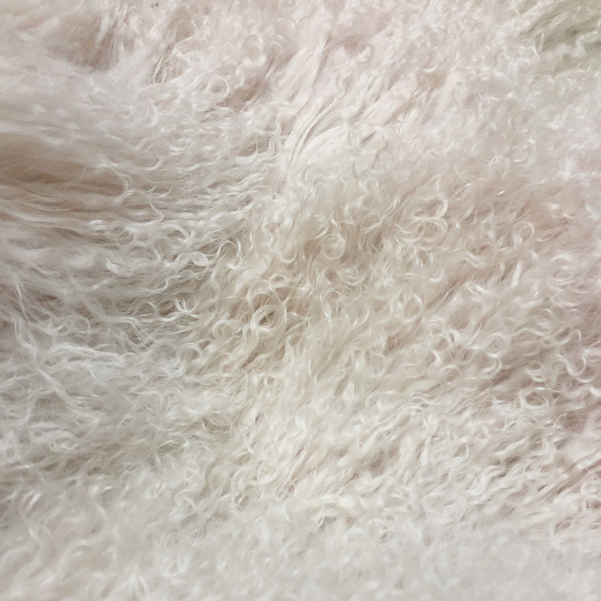 Real Tibetan Fur Mongolian Sheepskin Throw Rug***17 COLOURS***
