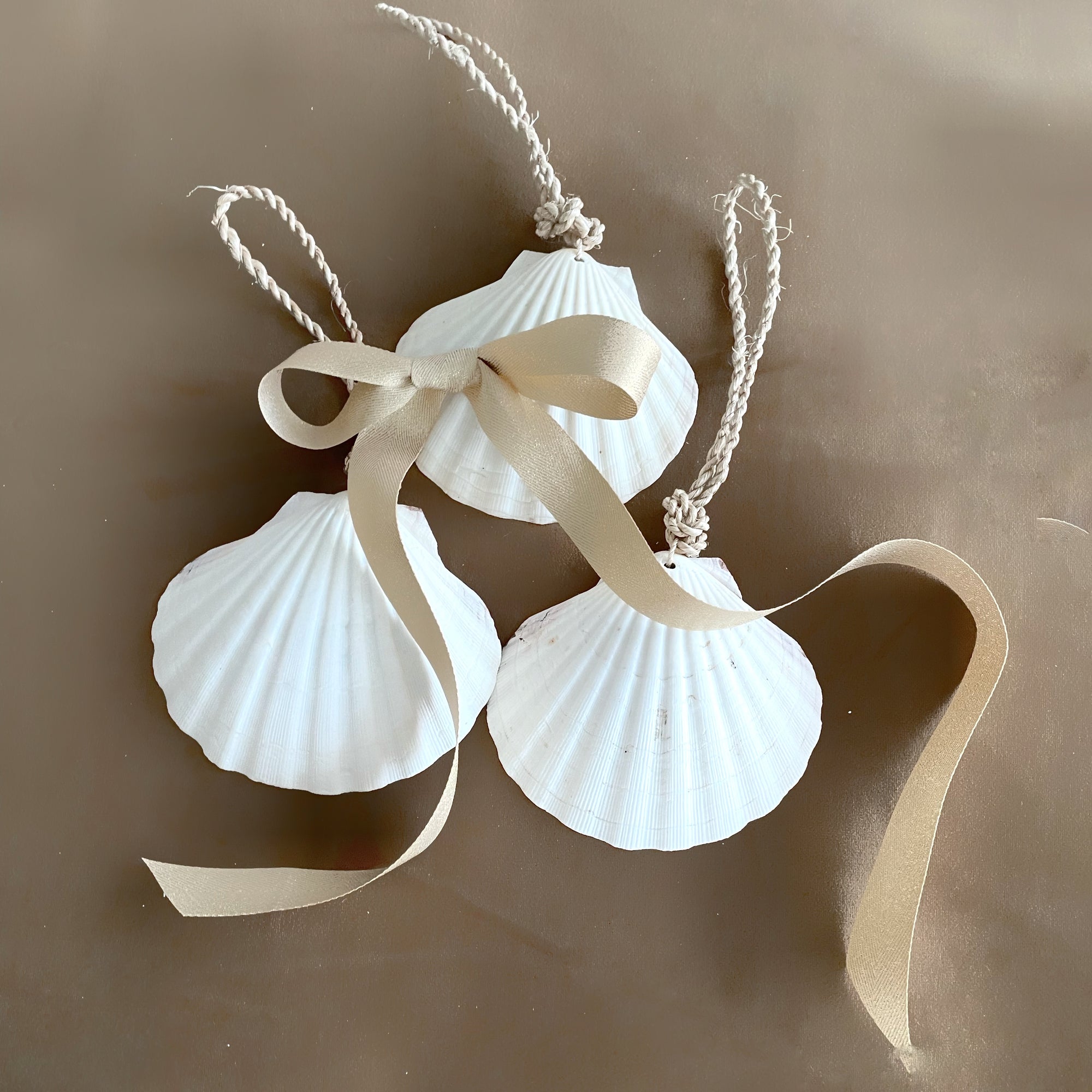 Large Hanging Scallop Real Shell Christmas Tree & Wall Decor