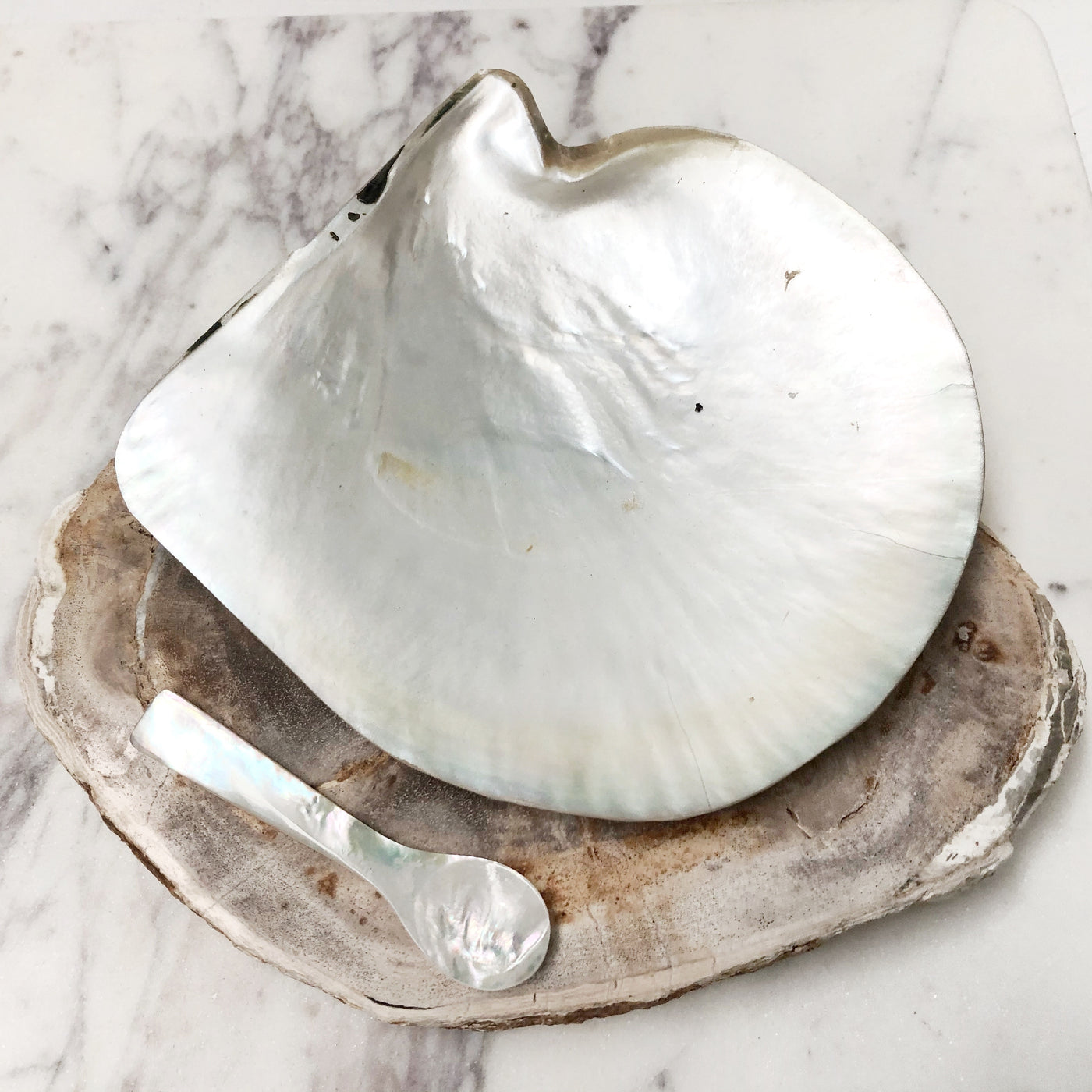 Real Natural Pearl Shell Plate Caviar Server Polished Edge