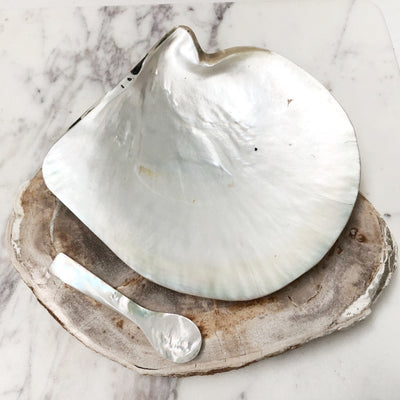Extra Large Real Natural Pearl Shell Plate Caviar Server
