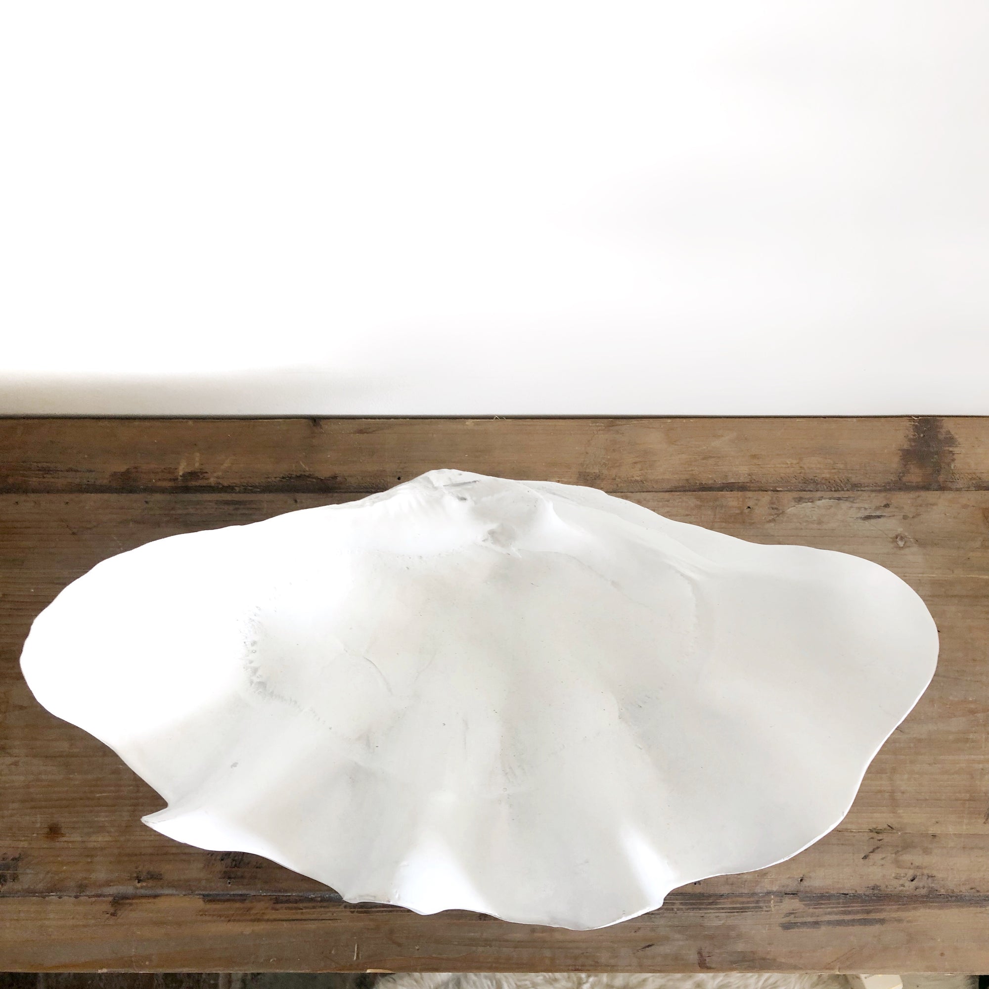 Resin Faux Giant Clamshell White 52 CM