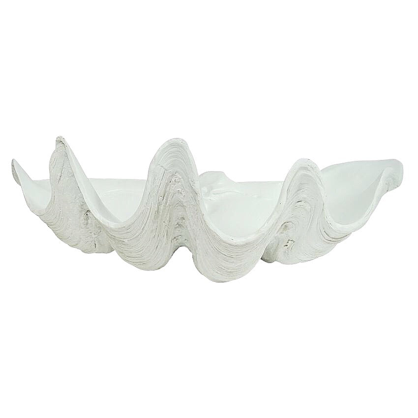Resin Faux Giant Clamshell White 52 CM