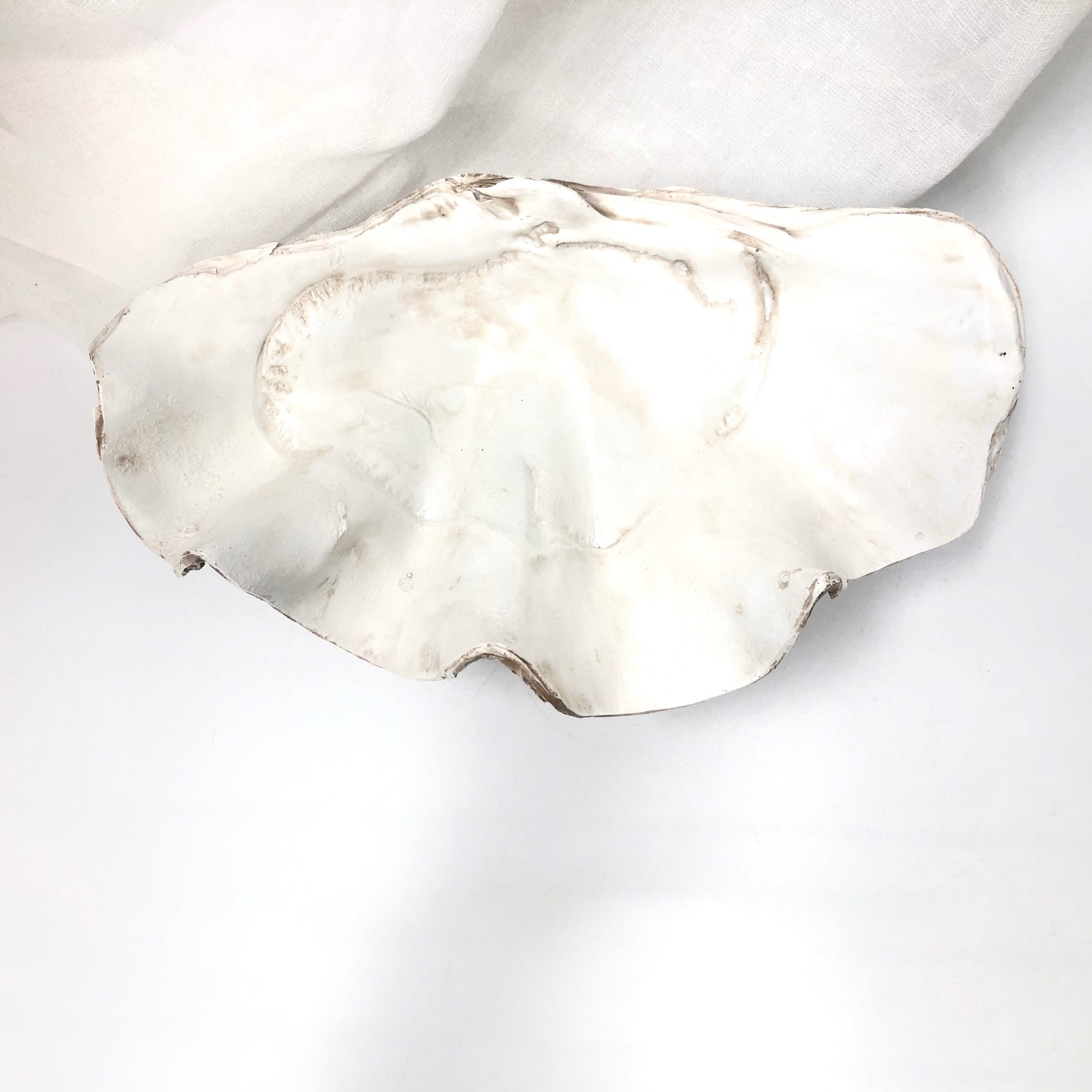 Resin Faux Giant Clamshell Clam 'Natural' 41 CM