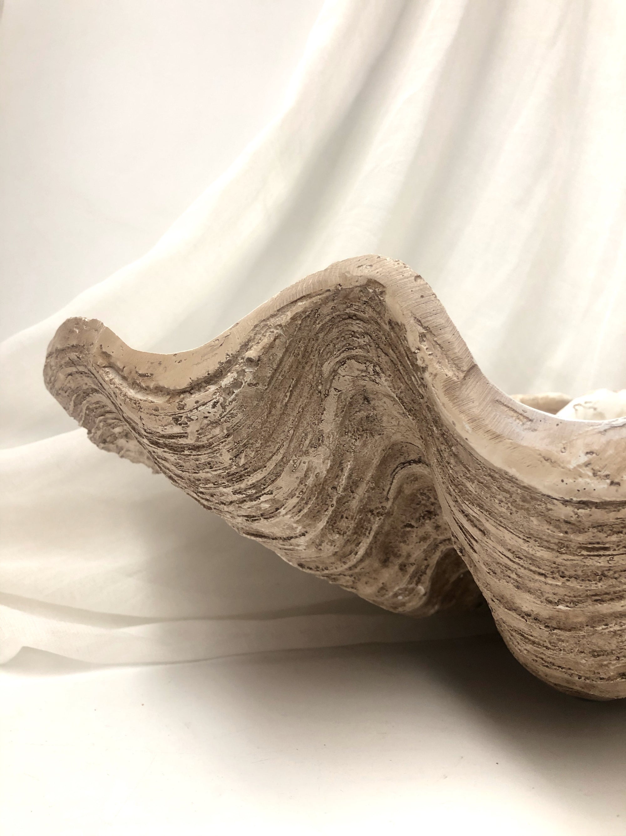 Resin Faux Giant Clamshell Clam 'Natural' 77 CM