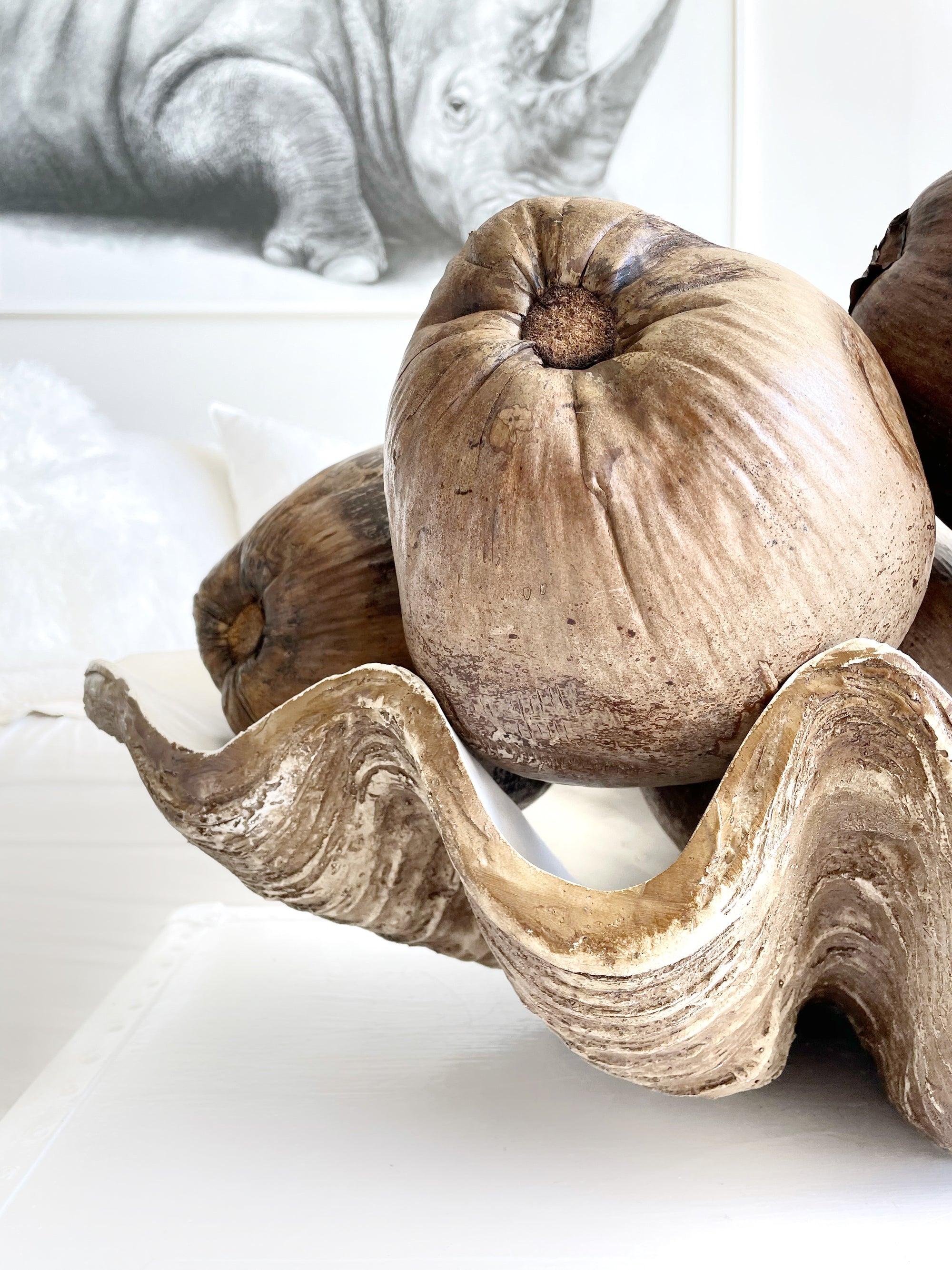 Resin Faux Giant Clamshell Clam 'Natural' 77 CM