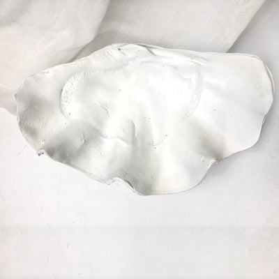 Resin Faux Giant Clamshell Clam White 41 CM