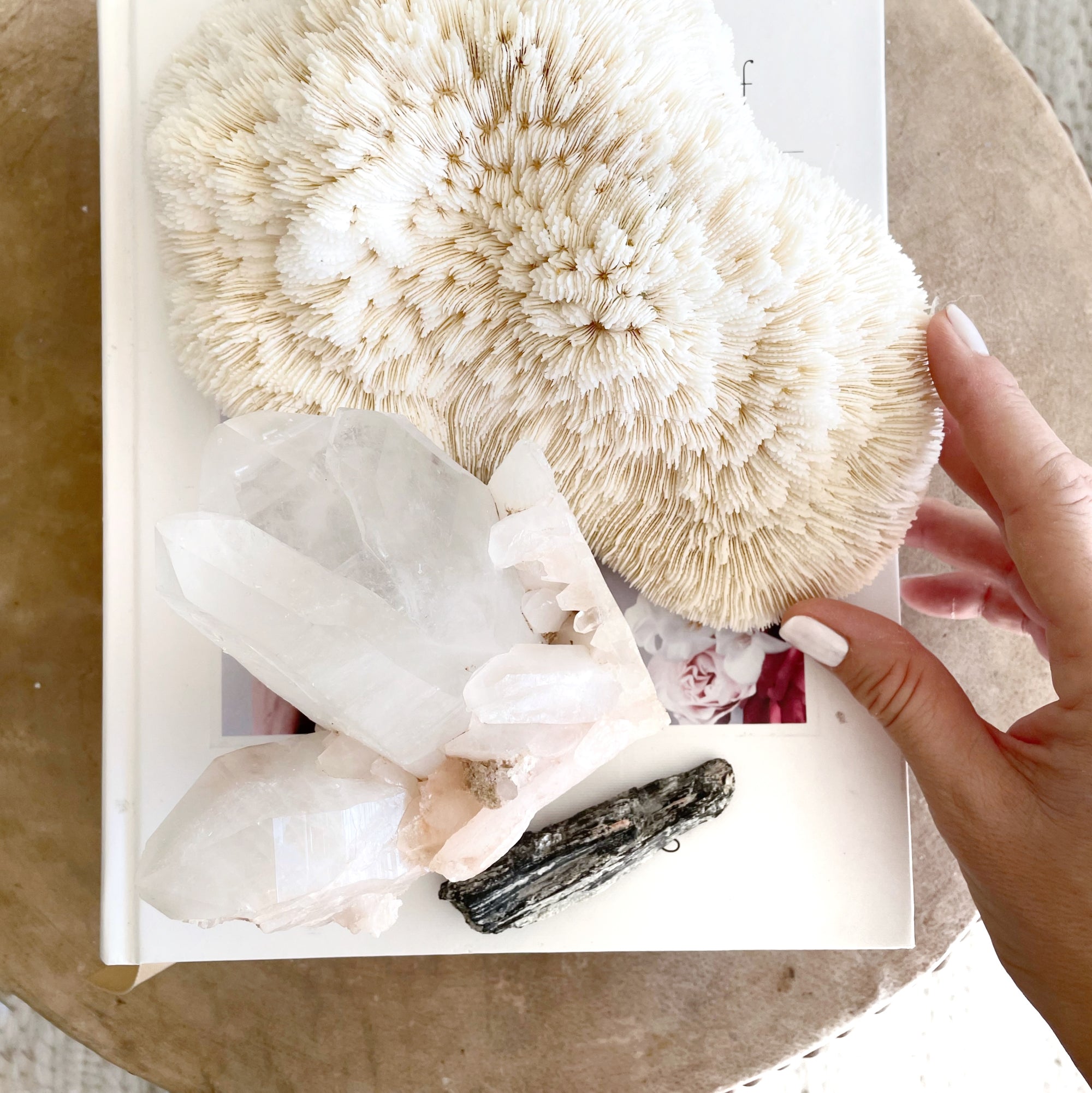 Himalayan Pink Quartz Crystal Cluster XII