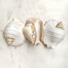 Real Pacific Conch Shell White Fluted ***LAST ONE***