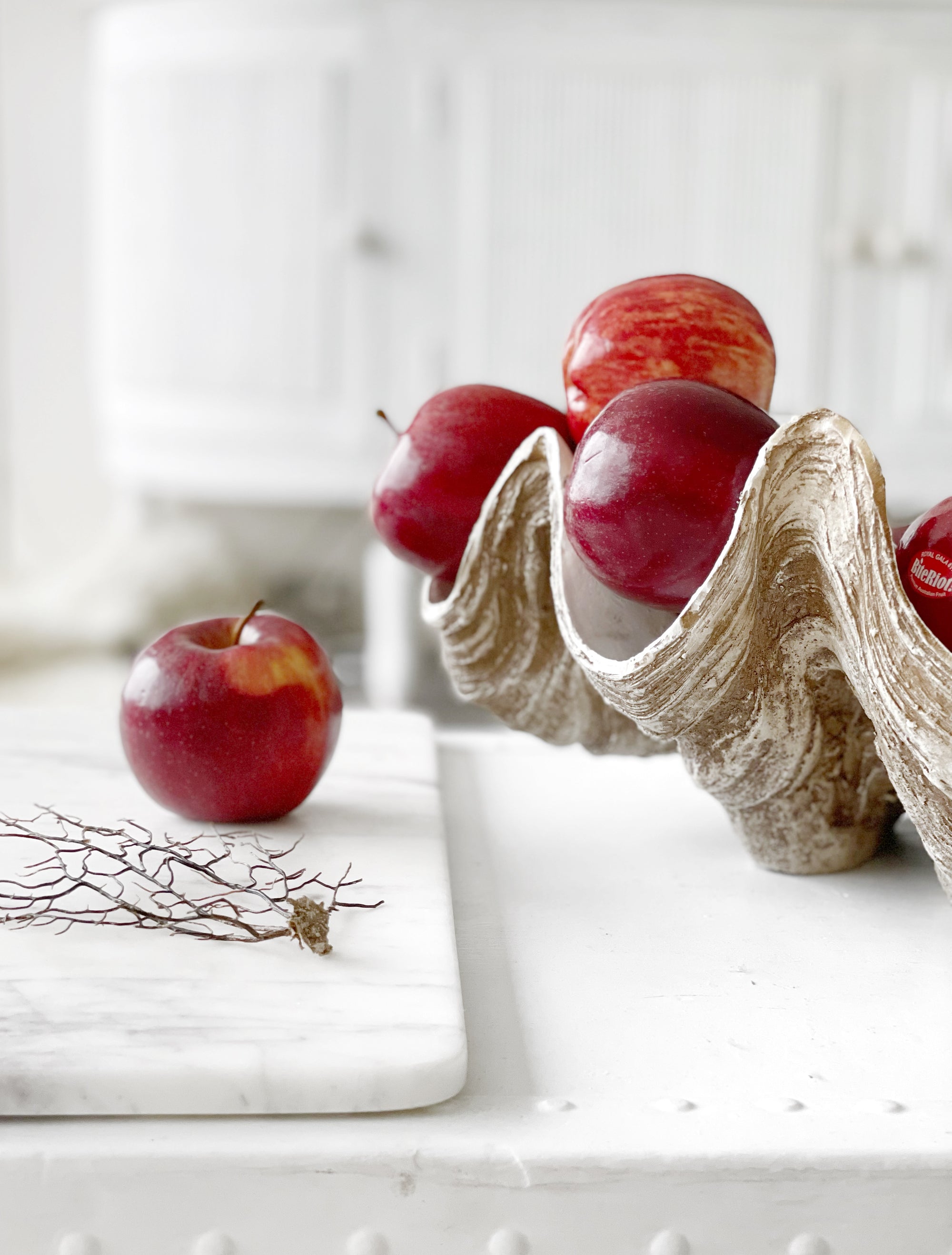 Resin Faux Giant Clamshell Clam 'Natural' 41 CM